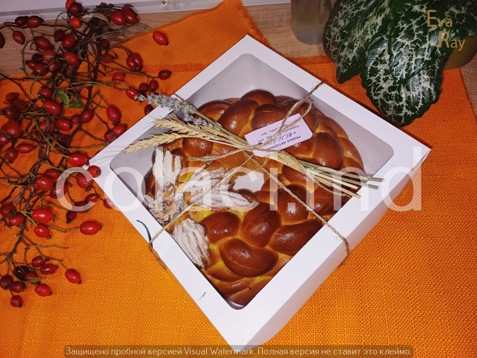 Colaci (131) – Colaci Artizanali